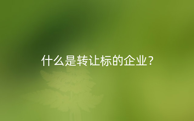 什么是转让标的企业？