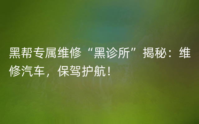 黑帮专属维修“黑诊所”揭秘：维修汽车，保驾护航！