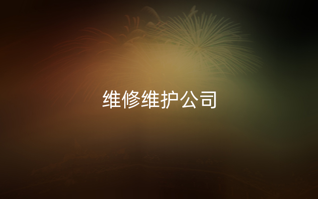 维修维护公司