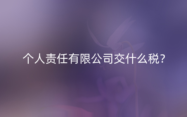 个人责任有限公司交什么税？