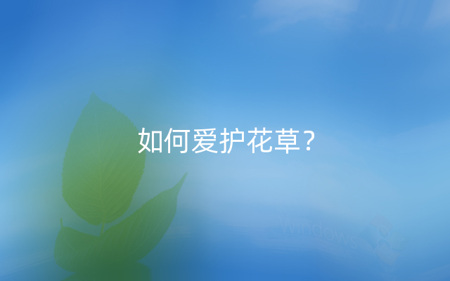 如何爱护花草？