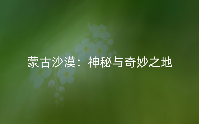 蒙古沙漠：神秘与奇妙之地
