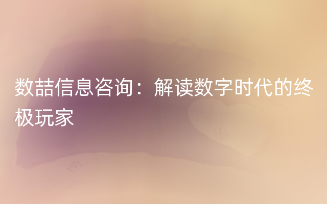 数喆信息咨询：解读数字时代的终极玩家