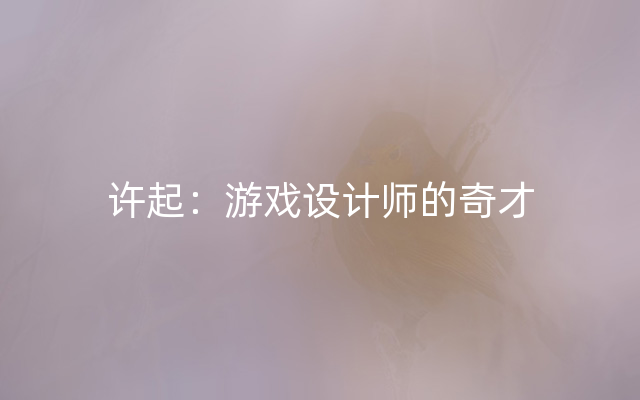 许起：游戏设计师的奇才