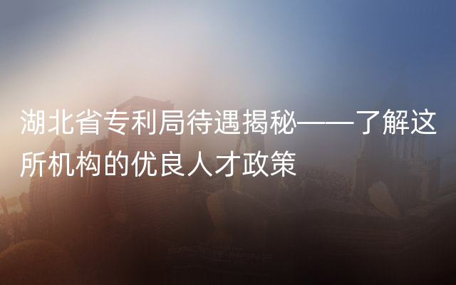 湖北省专利局待遇揭秘——了解这所机构的优良人才政策