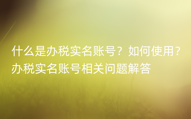 什么是办税实名账号？如何使用？办税实名账号相关问题解答