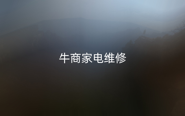 牛商家电维修