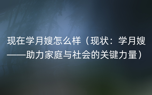 现在学月嫂怎么样（现状：学月嫂——助力家庭与社会的关键力量）