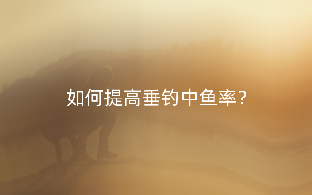 如何提高垂钓中鱼率？