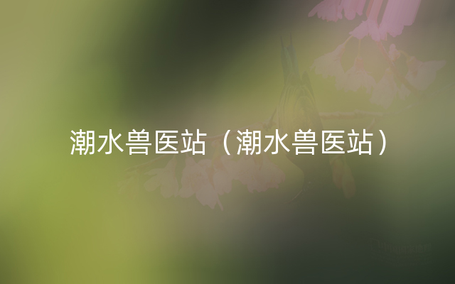 潮水兽医站（潮水兽医站）
