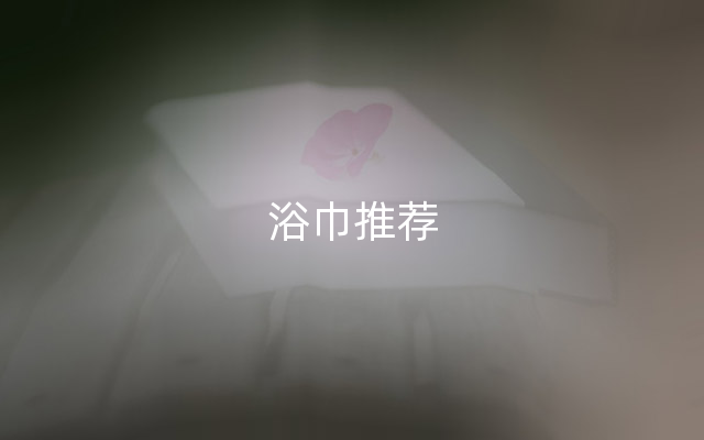 浴巾推荐