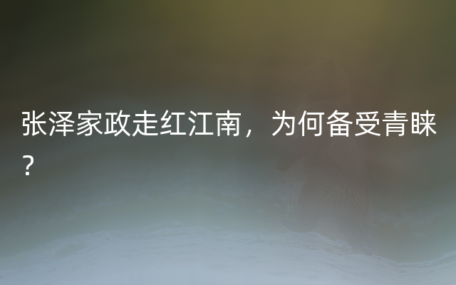 张泽家政走红江南，为何备受青睐？