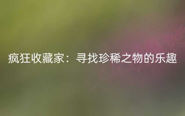 疯狂收藏家：寻找珍稀之物的乐趣
