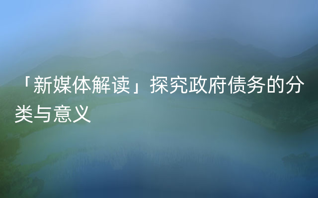 「新媒体解读」探究政府债务的分类与意义