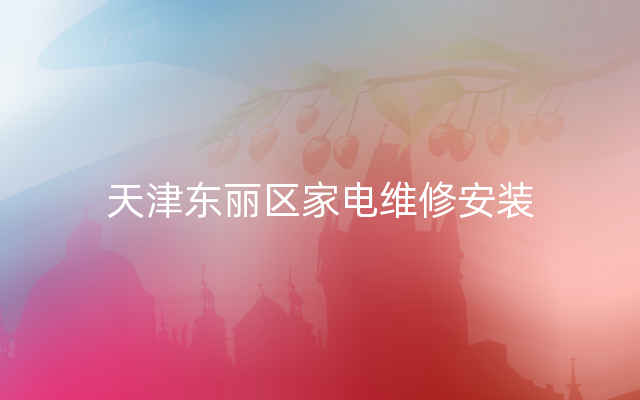 天津东丽区家电维修安装