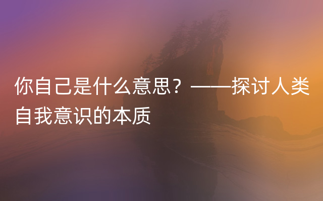 你自己是什么意思？——探讨人类自我意识的本质