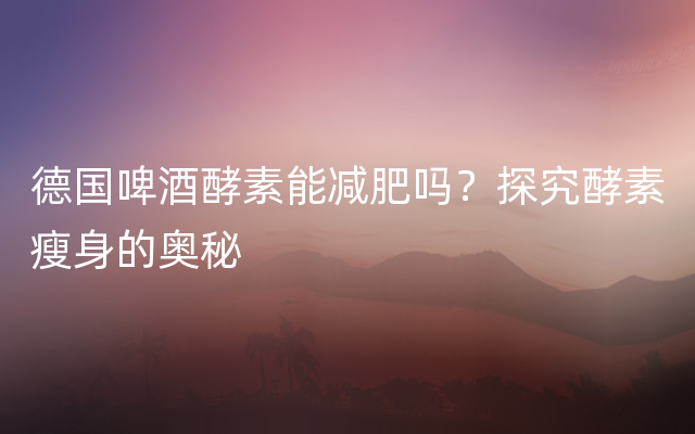 德国啤酒酵素能减肥吗？探究酵素瘦身的奥秘