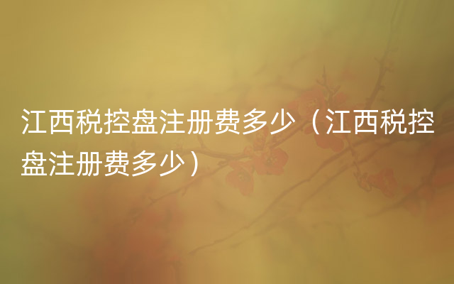 江西税控盘注册费多少（江西税控盘注册费多少）