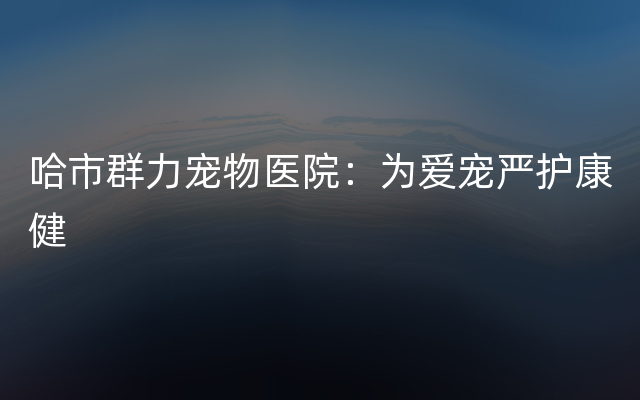 哈市群力宠物医院：为爱宠严护康健