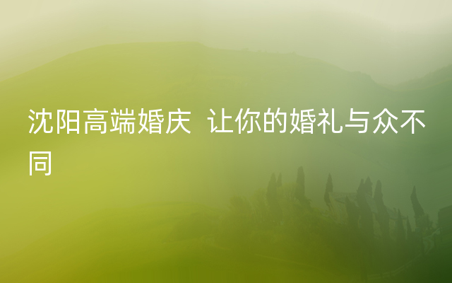 沈阳高端婚庆  让你的婚礼与众不同