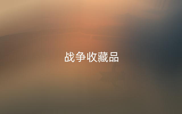 战争收藏品