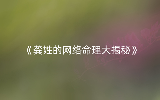 《龚姓的网络命理大揭秘》
