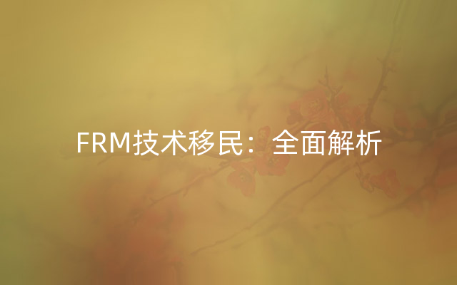 FRM技术移民：全面解析