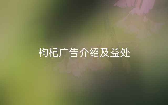 枸杞广告介绍及益处