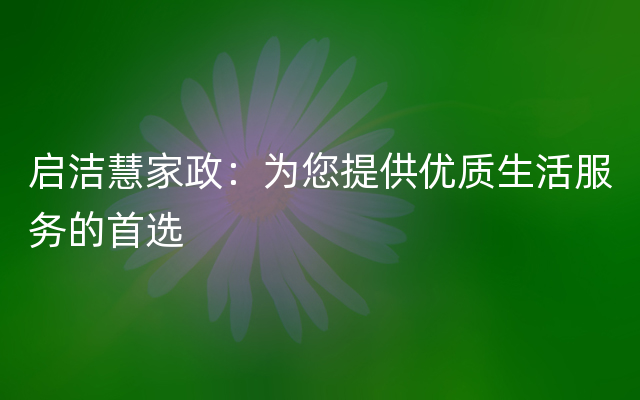 启洁慧家政：为您提供优质生活服务的首选