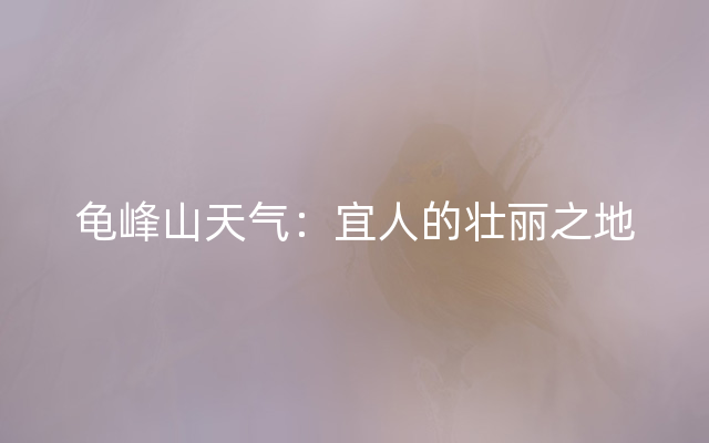 龟峰山天气：宜人的壮丽之地