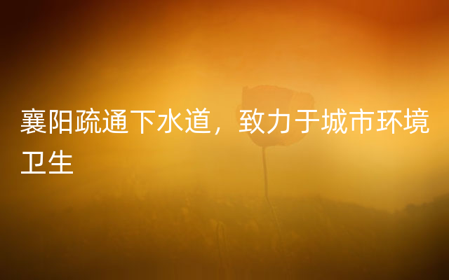 襄阳疏通下水道，致力于城市环境卫生