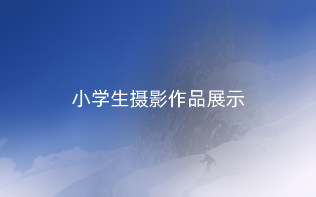 小学生摄影作品展示