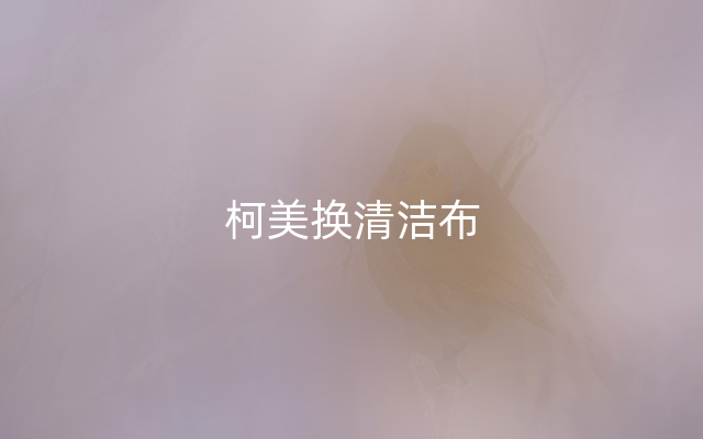 柯美换清洁布