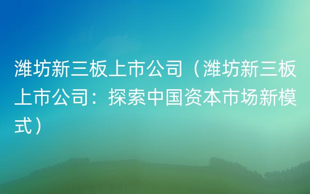 潍坊新三板上市公司（潍坊新三板上市公司：探索中国资本市场新模式）