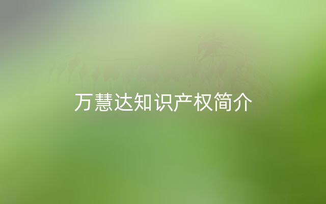 万慧达知识产权简介
