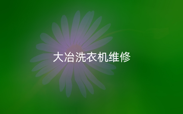 大冶洗衣机维修