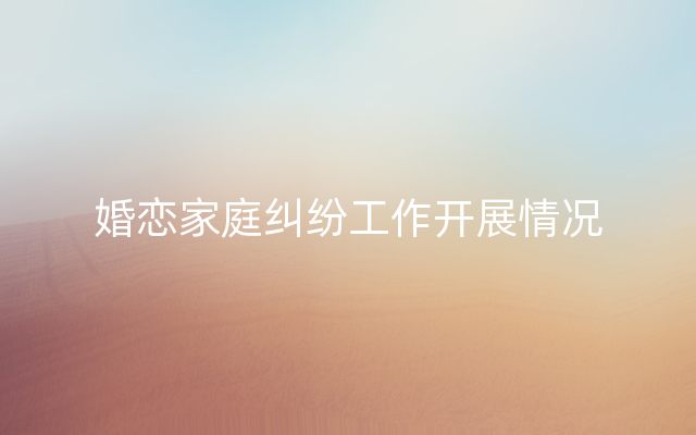 婚恋家庭纠纷工作开展情况
