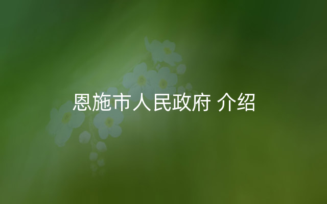 恩施市人民政府 介绍