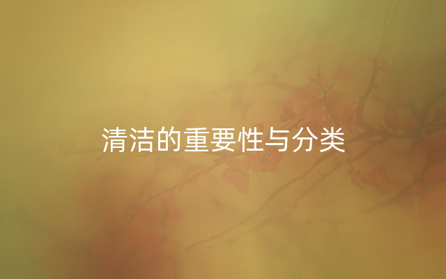 清洁的重要性与分类