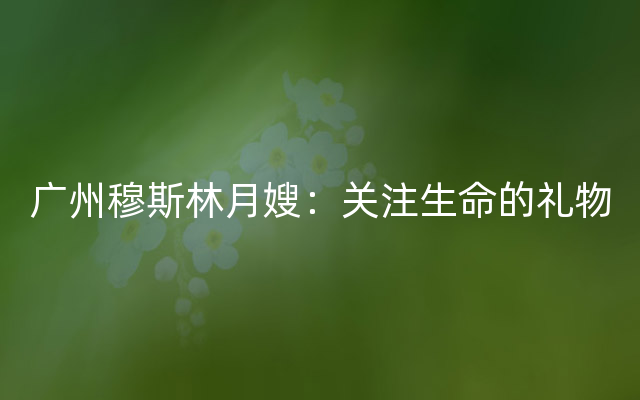 广州穆斯林月嫂：关注生命的礼物