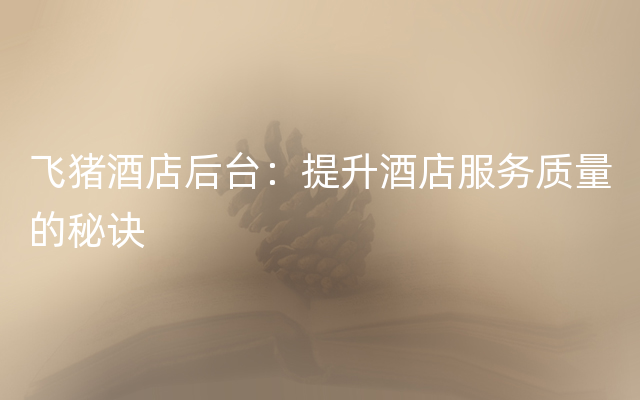 飞猪酒店后台：提升酒店服务质量的秘诀