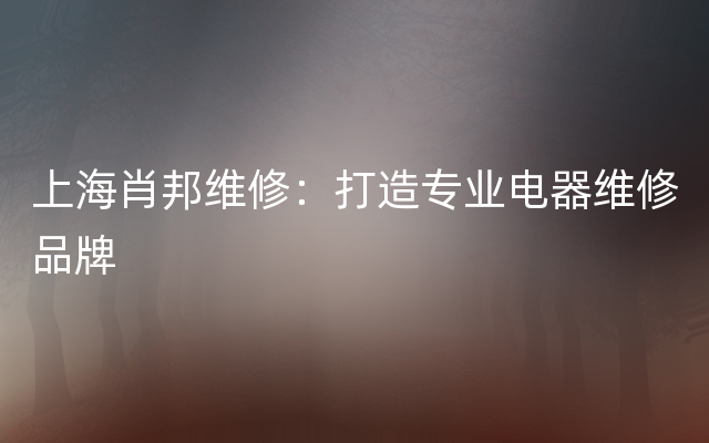 上海肖邦维修：打造专业电器维修品牌