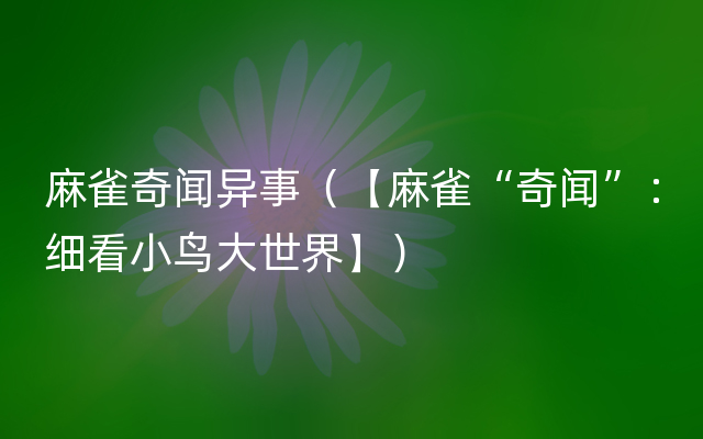 麻雀奇闻异事（【麻雀“奇闻”：细看小鸟大世界】）