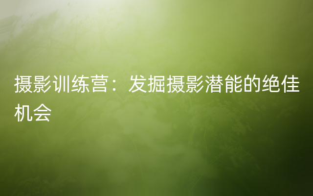 摄影训练营：发掘摄影潜能的绝佳机会
