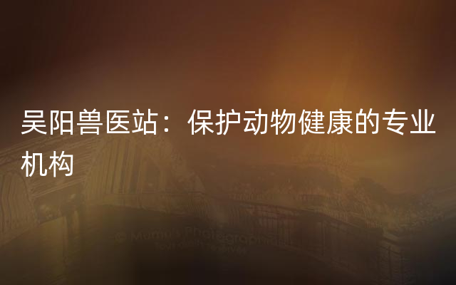 吴阳兽医站：保护动物健康的专业机构