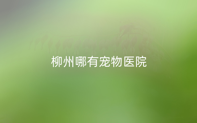 柳州哪有宠物医院