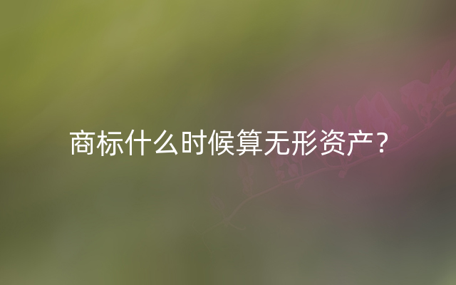商标什么时候算无形资产？