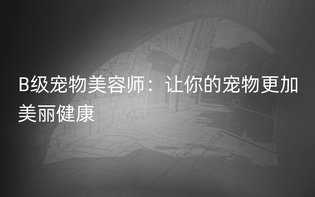 B级宠物美容师：让你的宠物更加美丽健康