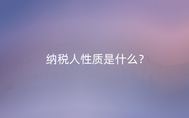 纳税人性质是什么？