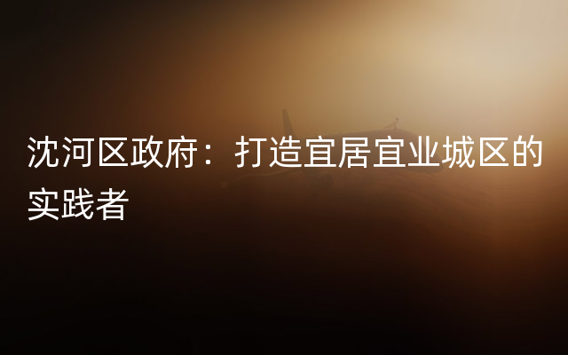 沈河区政府：打造宜居宜业城区的实践者